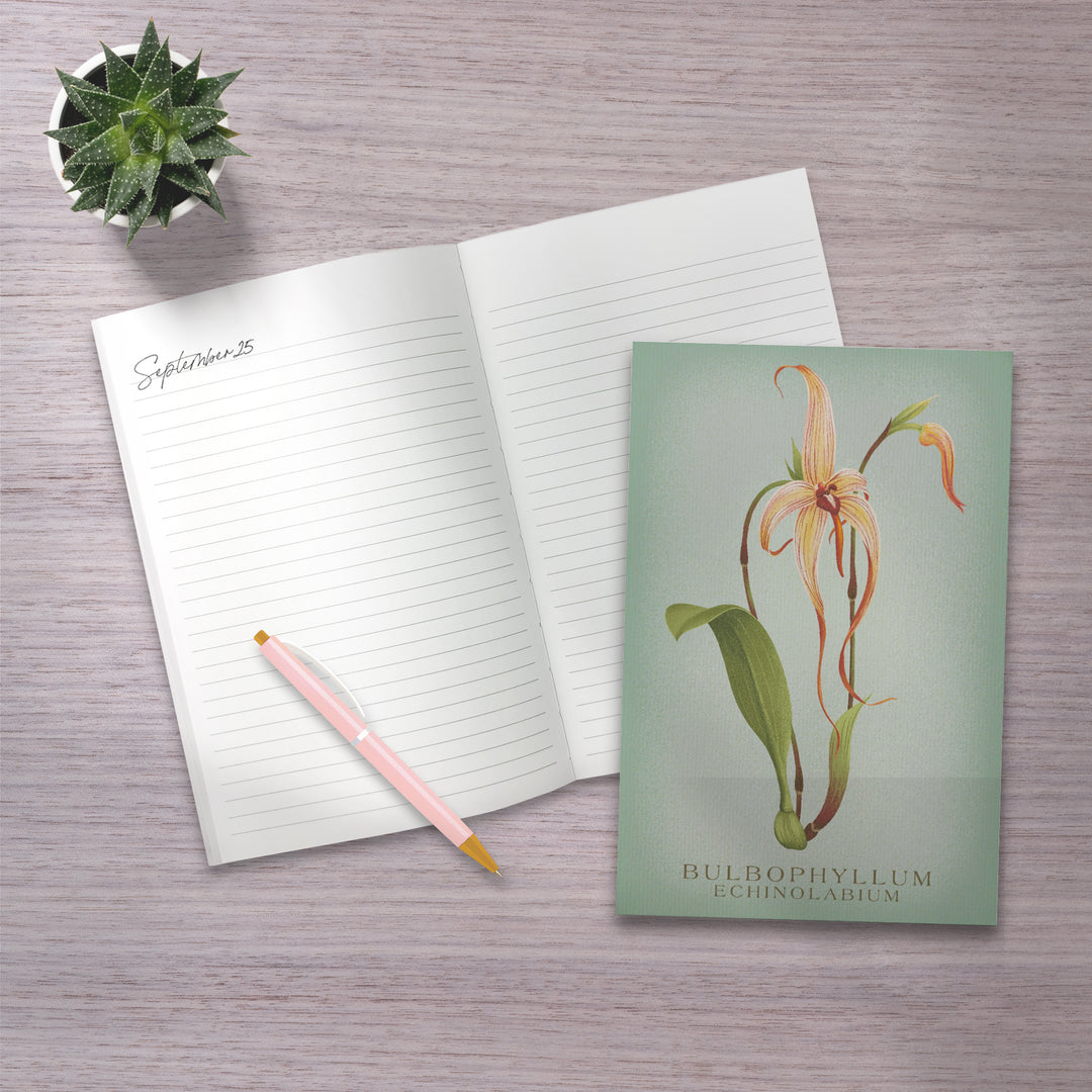 Lined 6x9 Journal, Bulbophyllum, Orchid, Vintage Flora, Lay Flat, 193 Pages, FSC paper