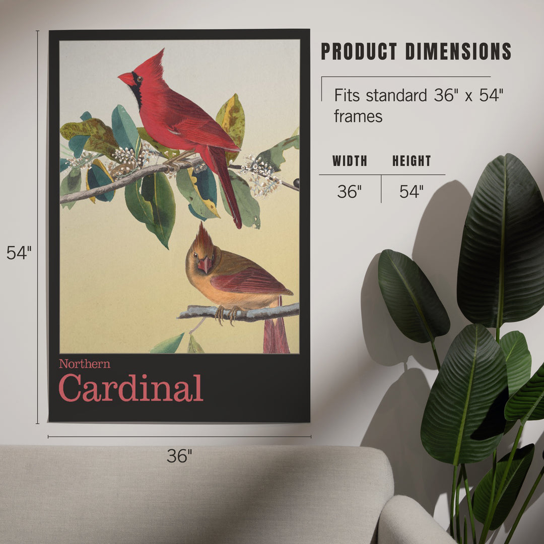Audubon Birds of North America, Cardinal, Art & Giclee Prints
