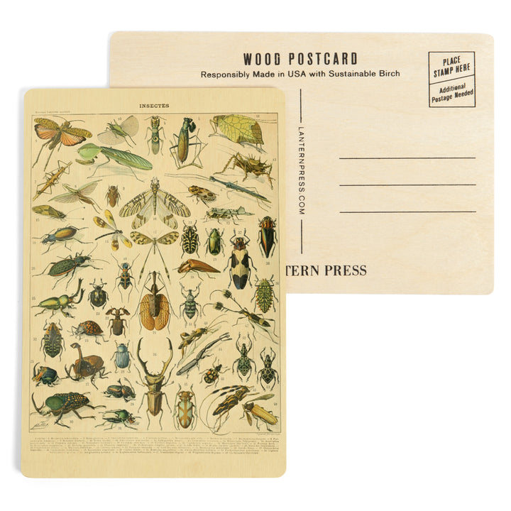 Insects, B, Vintage Bookplate, Adolphe Millot, Wood Sign and Postcards
