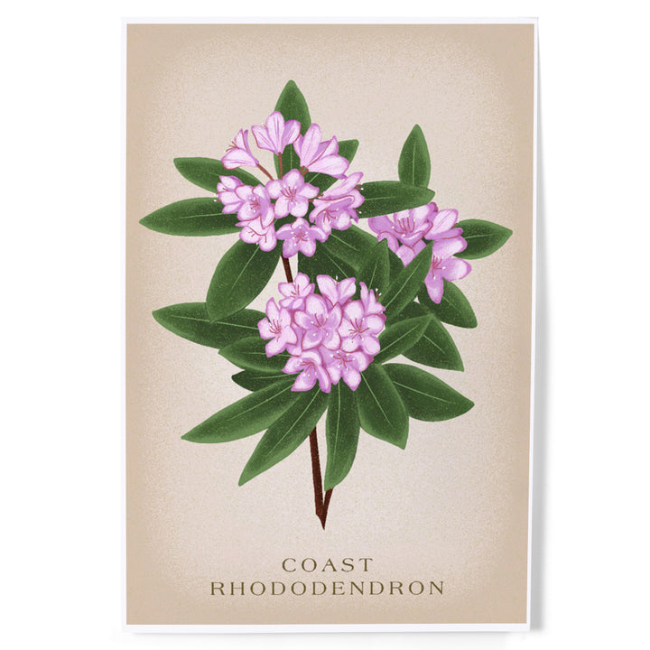 Coast Rhododendron, Vintage Flora