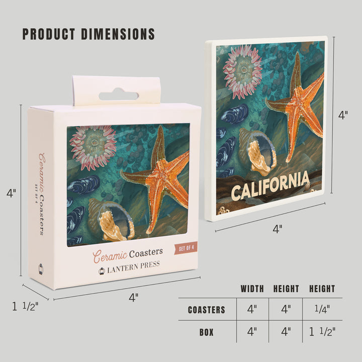 California, Tiny World Huge Wonders, Coastal Series, Starfish and Shells, Coaster Set