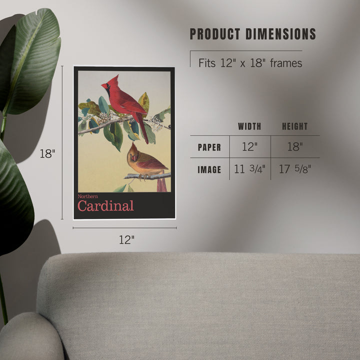 Audubon Birds of North America, Cardinal, Art & Giclee Prints