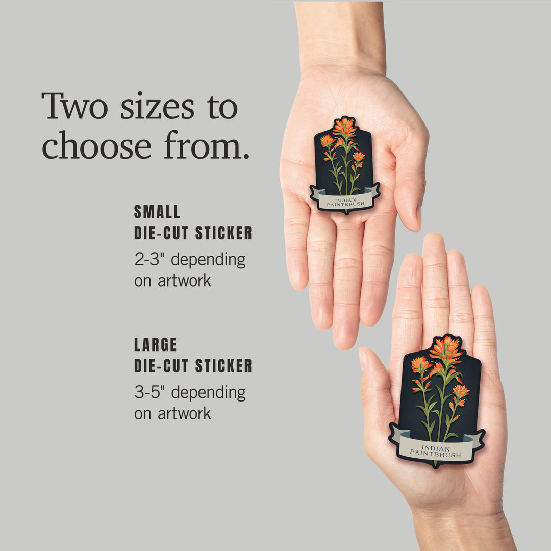 Vintage Flora Noir, Indian Paintbrush, Vinyl Sticker