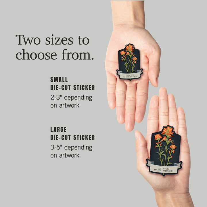 Vintage Flora Noir, Indian Paintbrush, Vinyl Sticker
