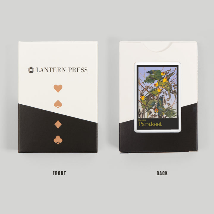 Playing Cards, Audubon Birds of North America, Parakeet, 52 Card Deck with Jokers in Box, Unique Art