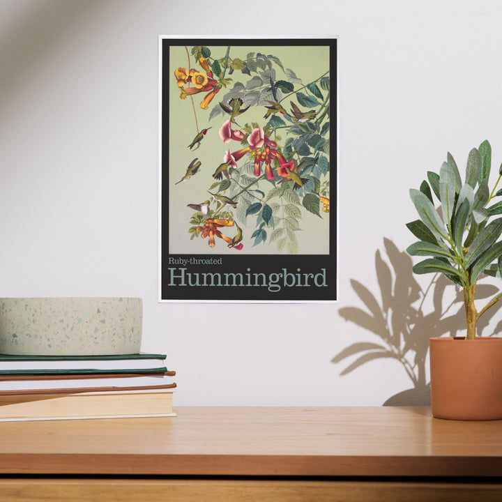 Audubon Birds, North America Hummingbird, Art & Giclee Prints