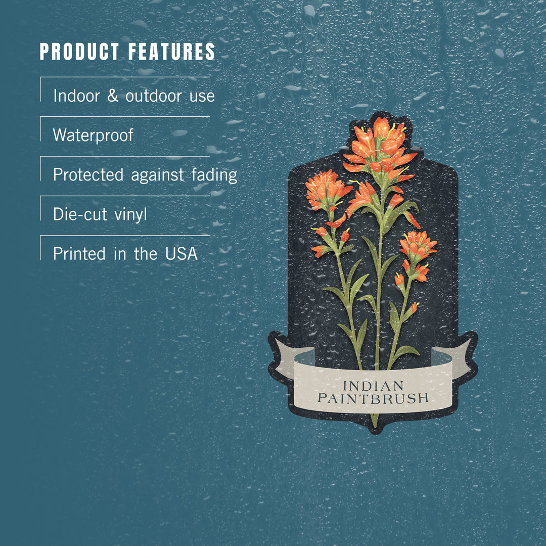 Vintage Flora Noir, Indian Paintbrush, Vinyl Sticker