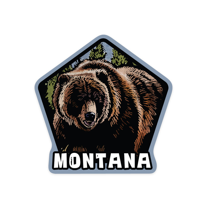 Montana, Grizzly Bear, Scratchboard, Contour, Lantern Press Artwork, Vinyl Sticker
