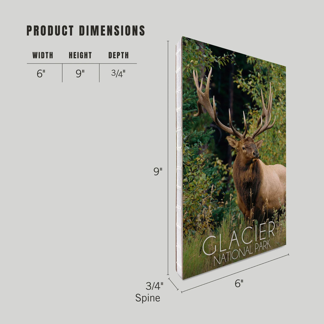 Lined 6x9 Journal, Glacier National Park, Elk Bull, Lay Flat, 193 Pages, FSC paper