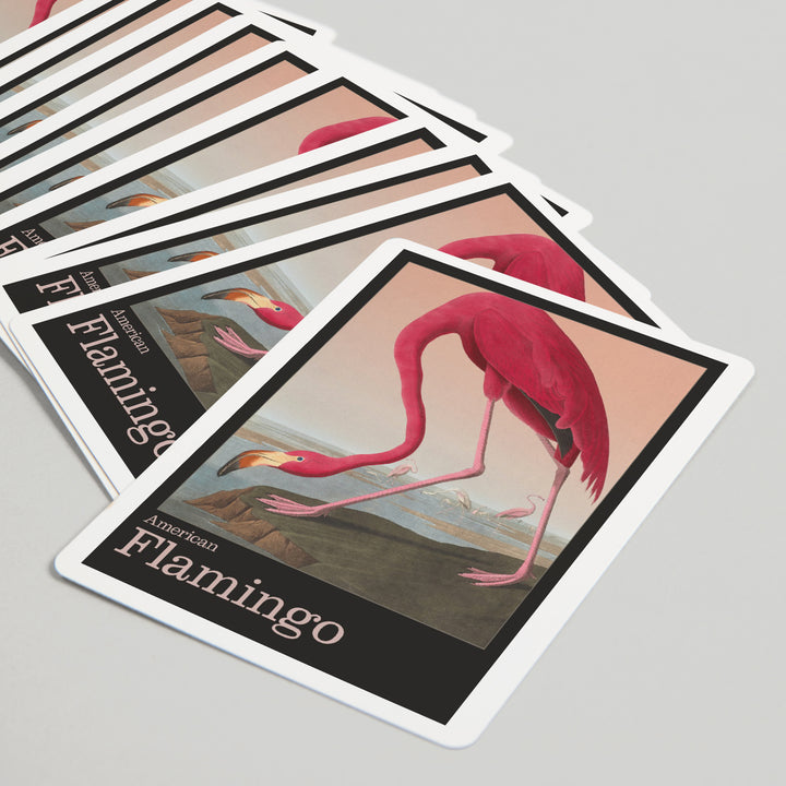 Playing Cards, Audubon Birds of North America, Flamingo, 52 Card Deck with Jokers in Box, Unique Art