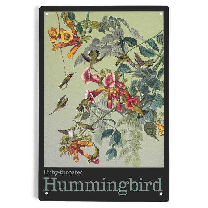 Audubon Birds, North America Hummingbird, 12x18 Metal Sign