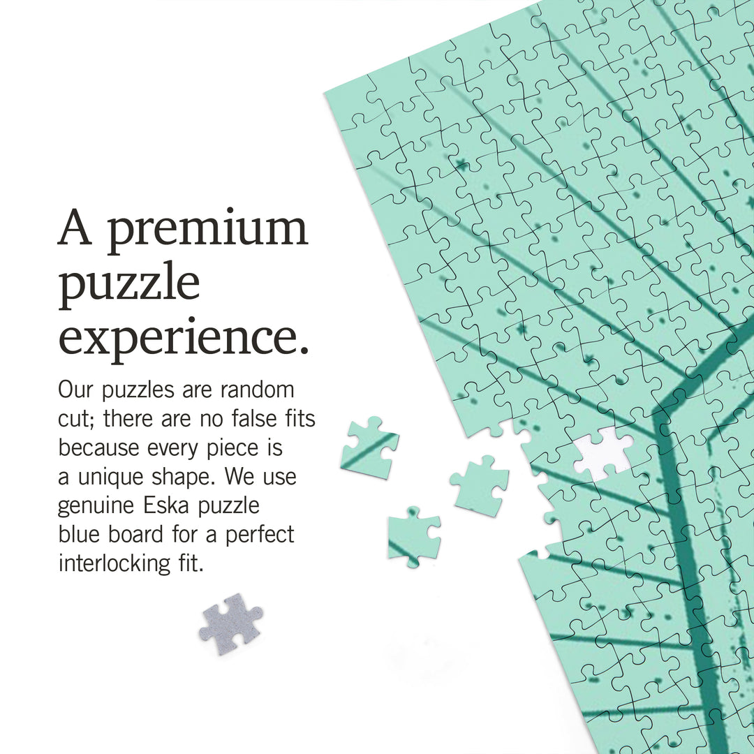 White Salmon, Washington, Lake Life Series, Follow The Stars, 1000 Piece Jigsaw Puzzle