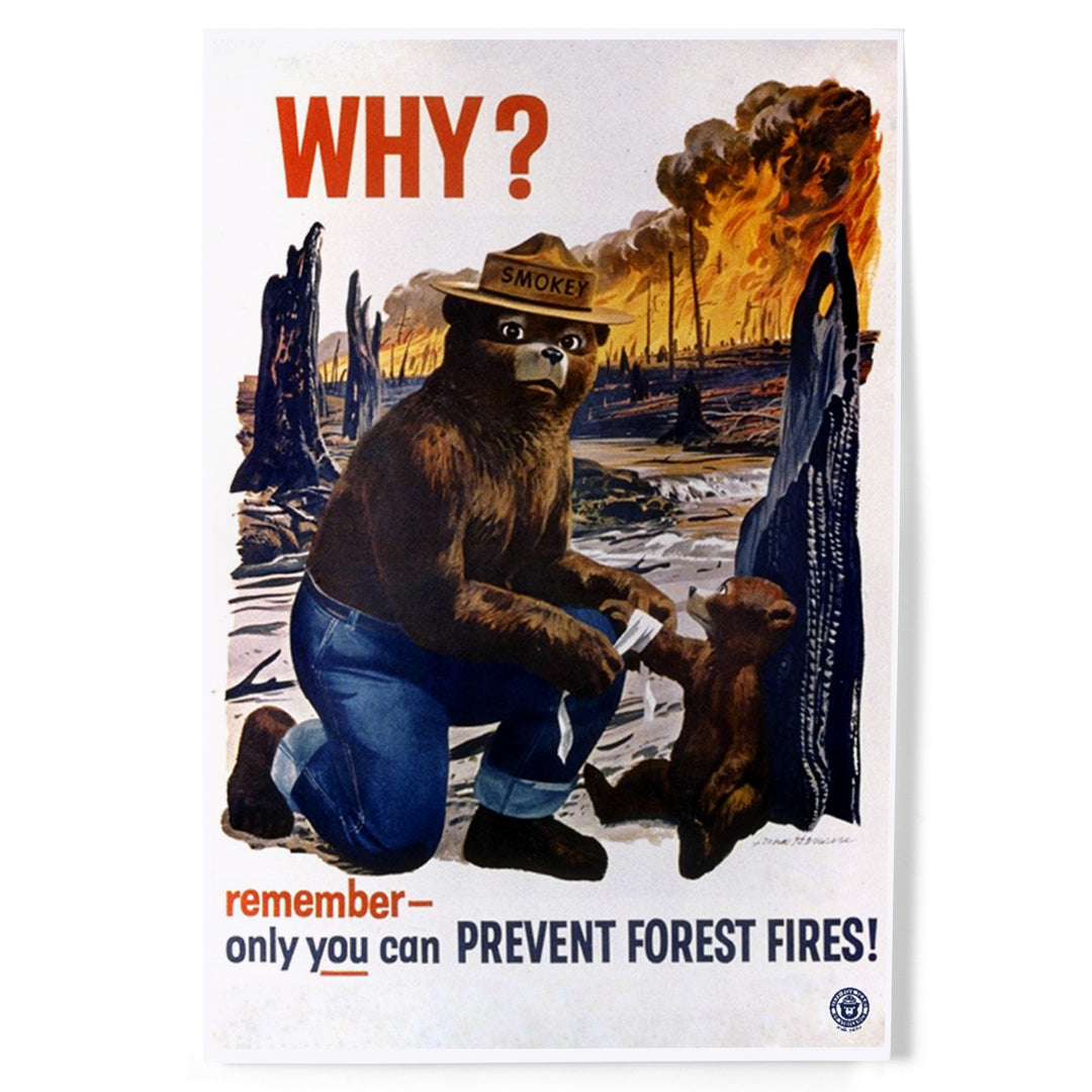 Smokey Bear, Why, Officially Licensed Vintage Poster, Art & Giclee Prints