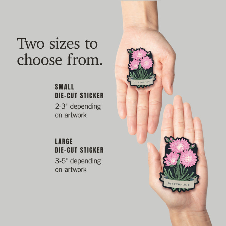 Vintage Flora Noir, Bitterroot, Vinyl Sticker