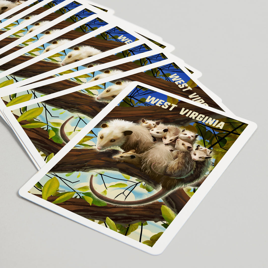 Playing Cards, West Virginia, Possum with Babies, 52 Card Deck with Jokers in Box, Unique Art