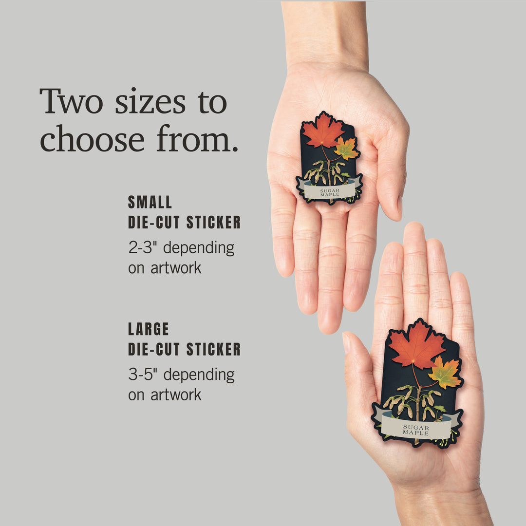 Vintage Flora Noir, Sugar Maple, Vinyl Sticker