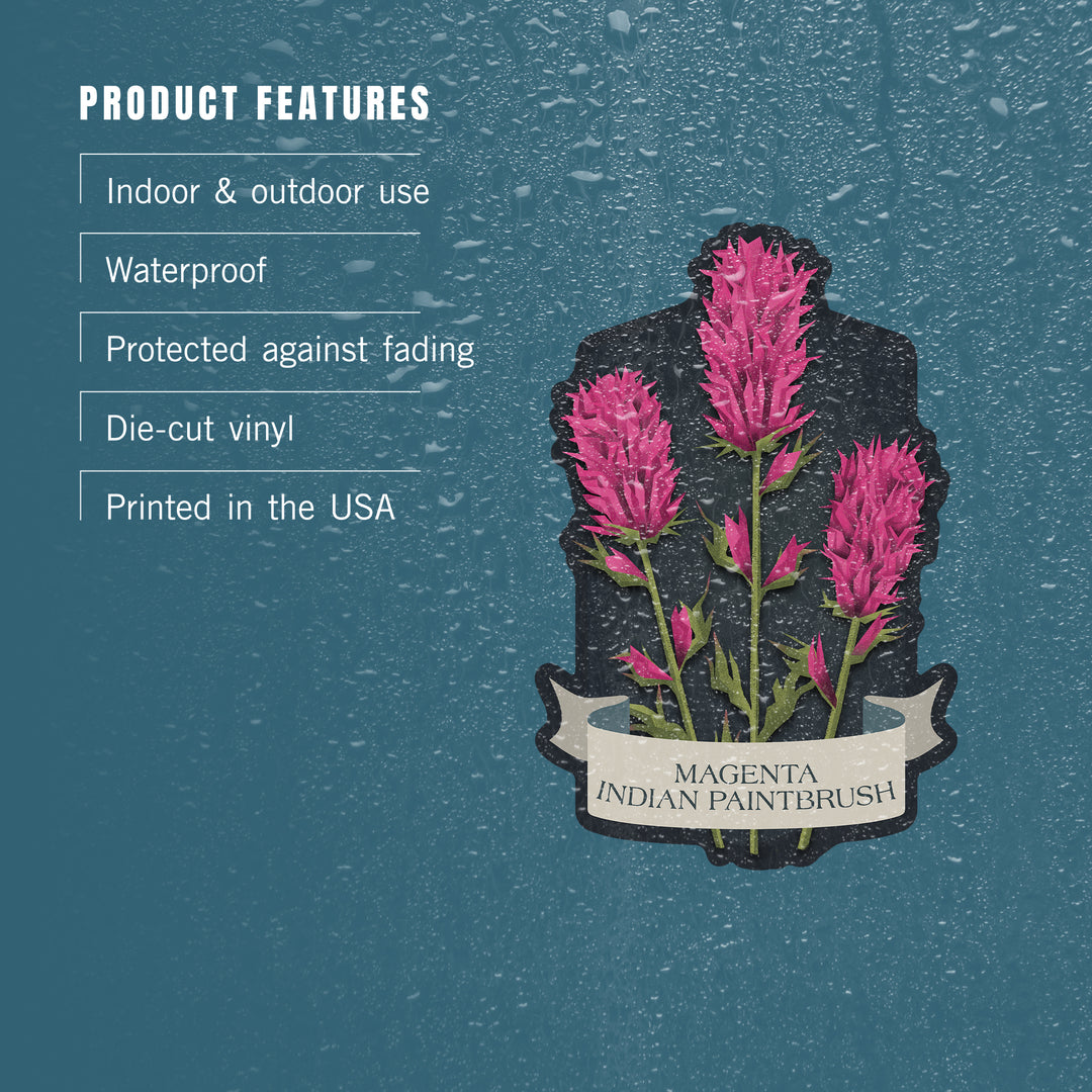 Vintage Flora Noir, Magenta Indian Paintbrush, Vinyl Sticker