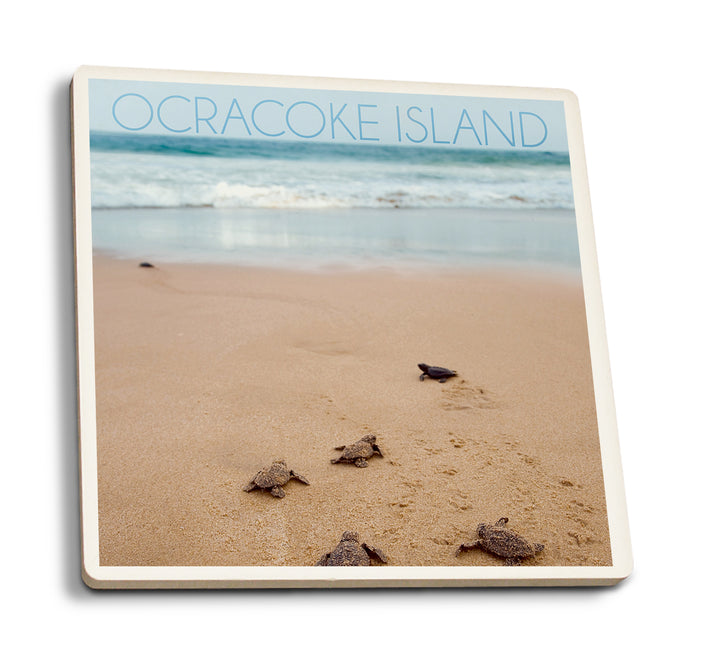 Ocracoke Island, North Carolina, Sea Turtles Hatching, Coaster Set
