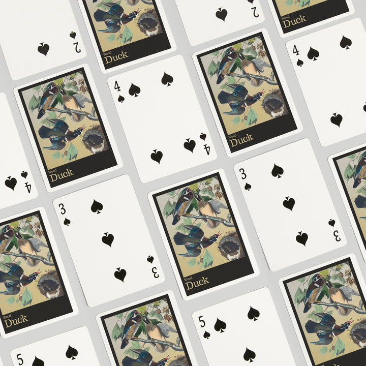 Playing Cards, Audubon Birds of North America, Wood Duck, 52 Card Deck with Jokers in Box, Unique Art