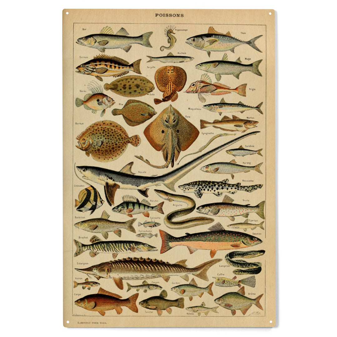 Fish, C, Vintage Bookplate, Adolphe Millot Artwork, Wood Sign and Postcards