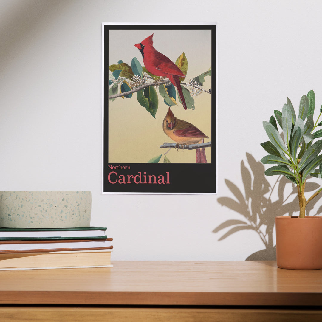 Audubon Birds of North America, Cardinal, Art & Giclee Prints