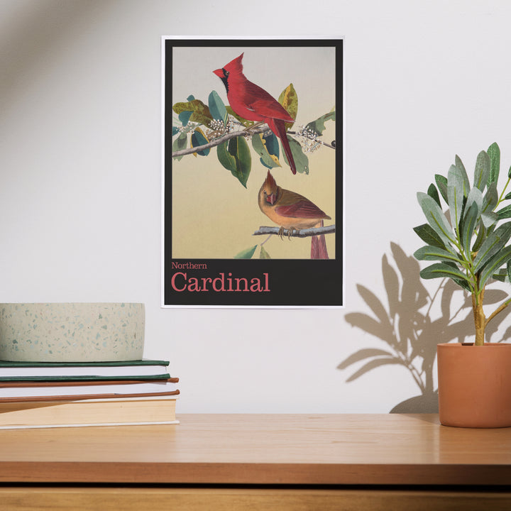 Audubon Birds of North America, Cardinal, Art & Giclee Prints