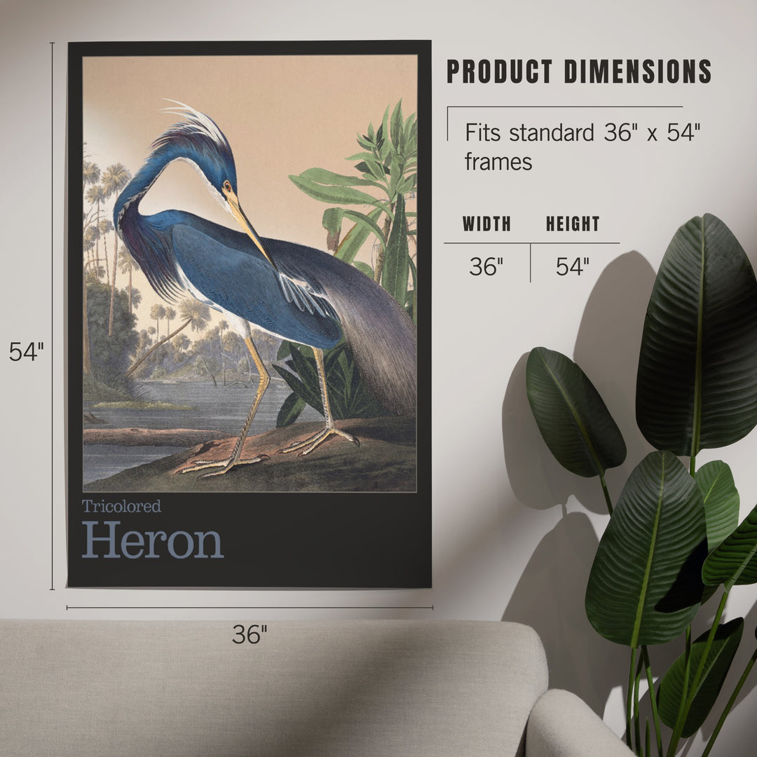 Audubon Birds of North America, Heron, Art & Giclee Prints