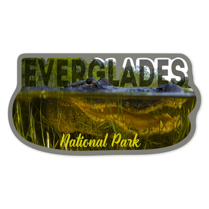 Everglades National Park, Florida, Alligator Underwater, Contour, Photography, Vinyl Sticker
