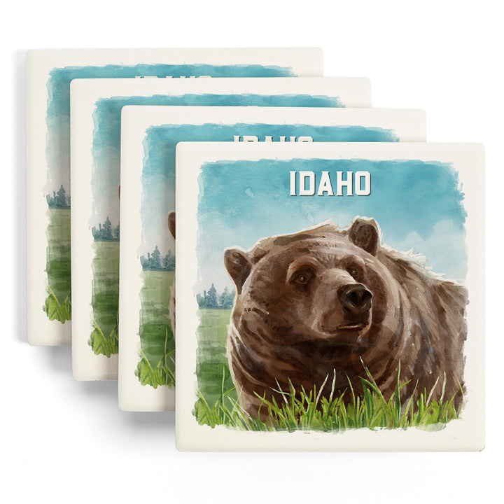 Idaho, Watercolor Study, Grizzly Bear, Coaster Set