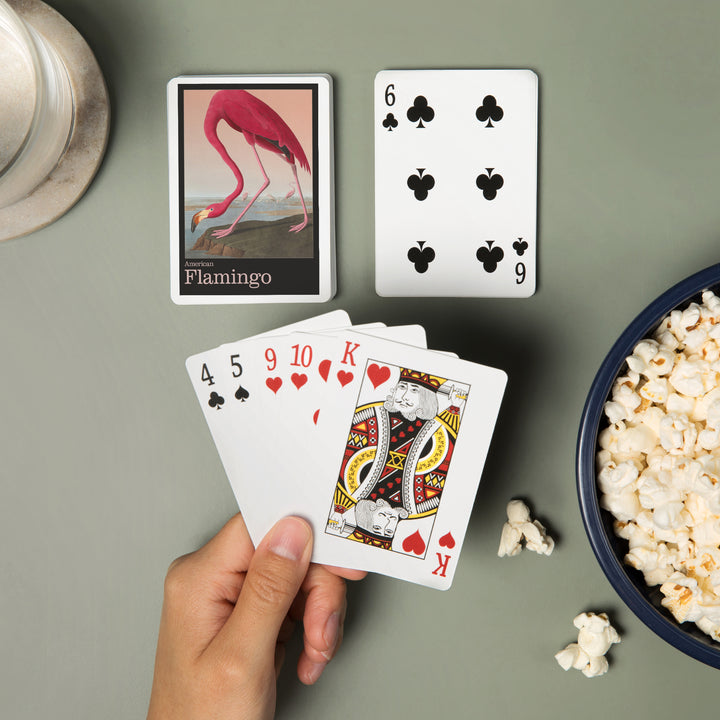 Playing Cards, Audubon Birds of North America, Flamingo, 52 Card Deck with Jokers in Box, Unique Art