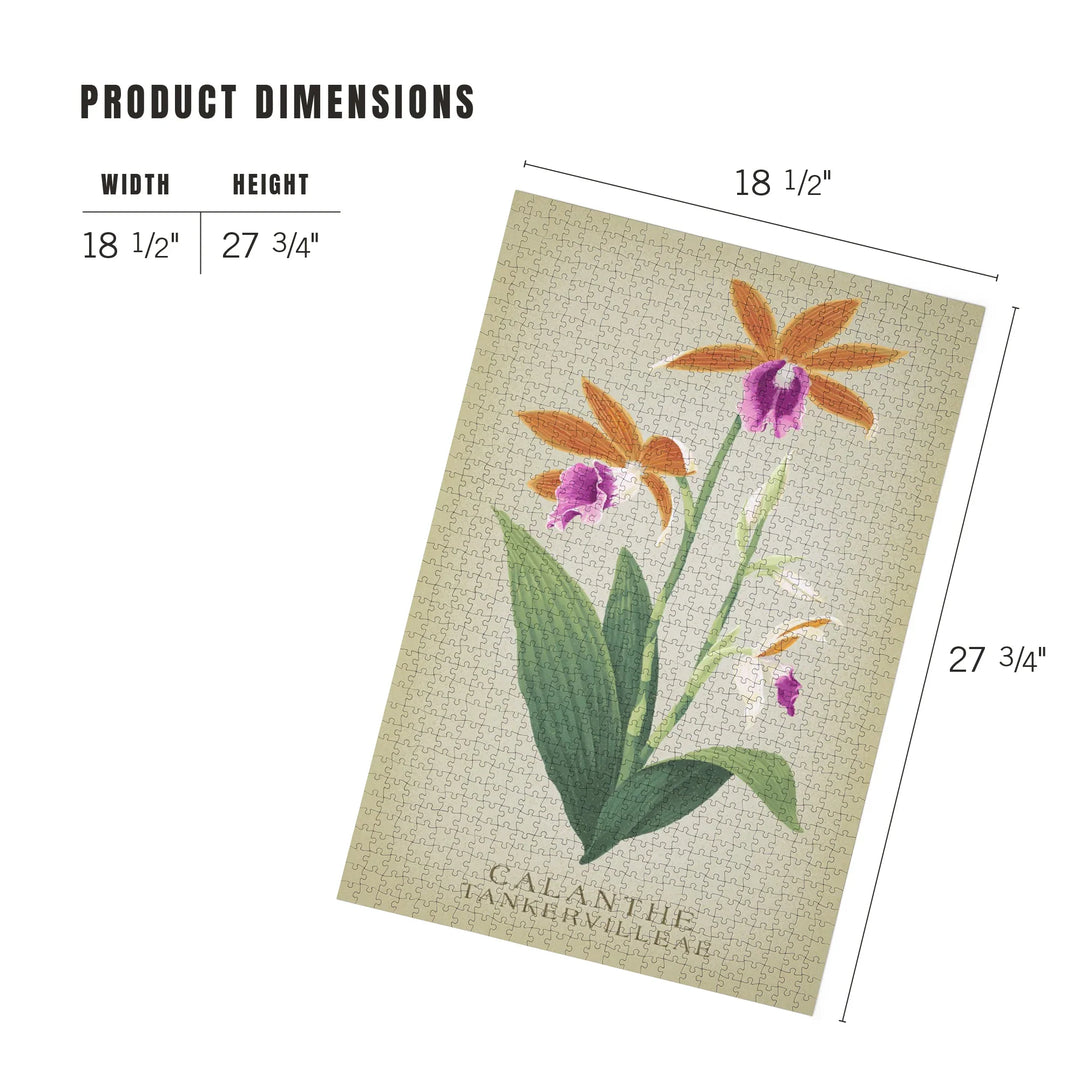 Phaius, Orchid, Vintage Flora, 1000 Piece Jigsaw Puzzle