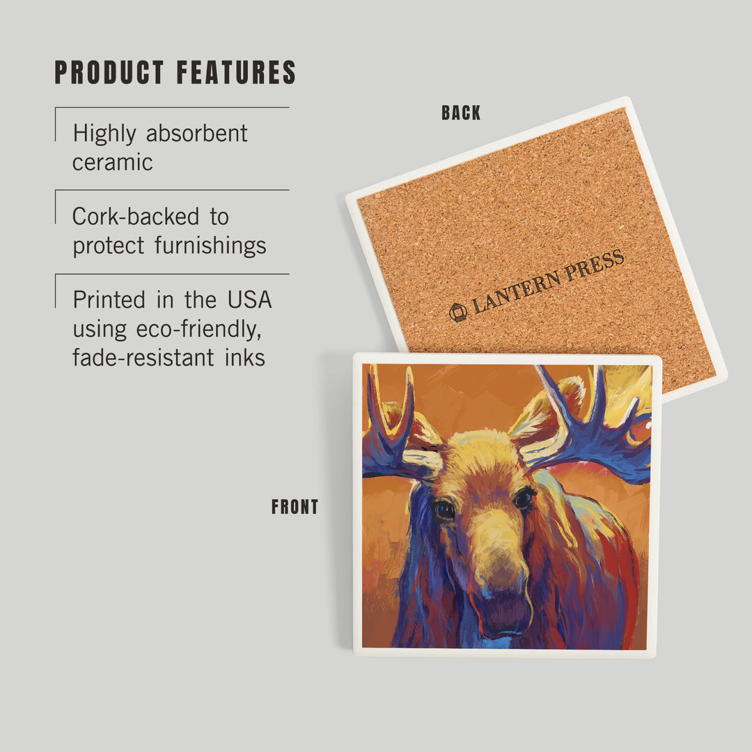 Vivid, Moose, Coasters