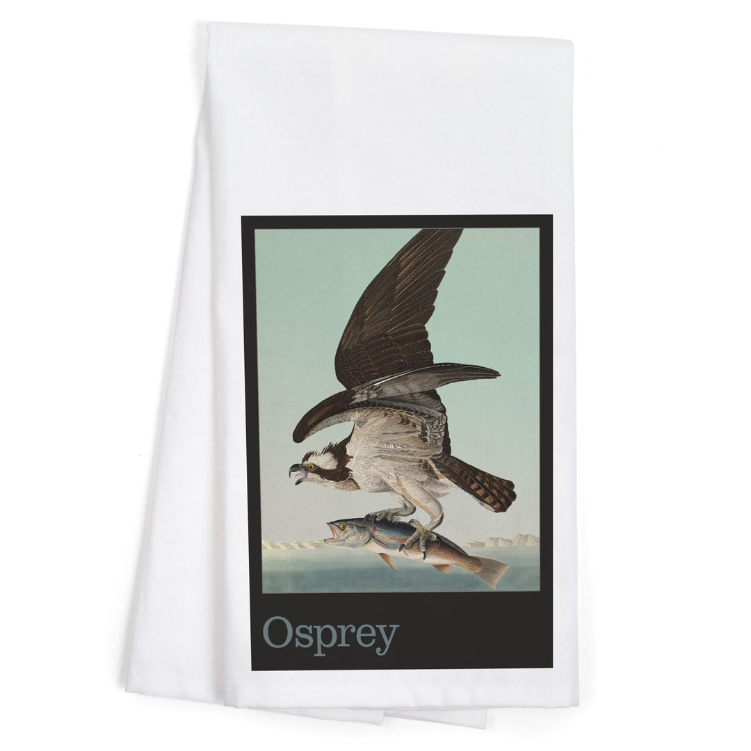 Audubon Birds of North America, Osprey, Organic Cotton Kitchen Tea Towels
