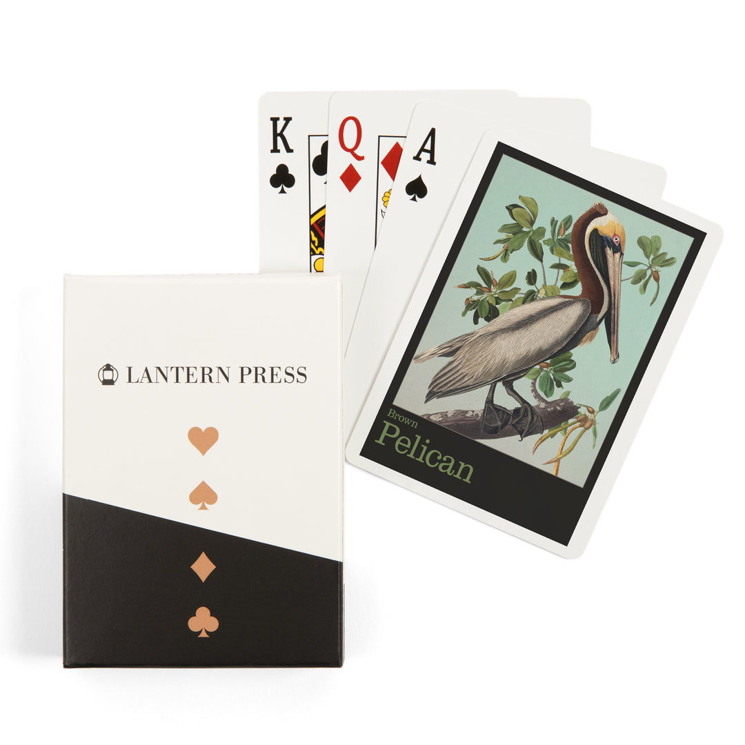 Playing Cards, Audubon Birds, North America Brown Pelican, 52 Card Deck with Jokers in Box, Unique Art
