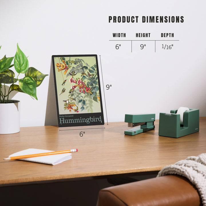 Audubon Birds, North America Hummingbird, 12x18 Metal Sign
