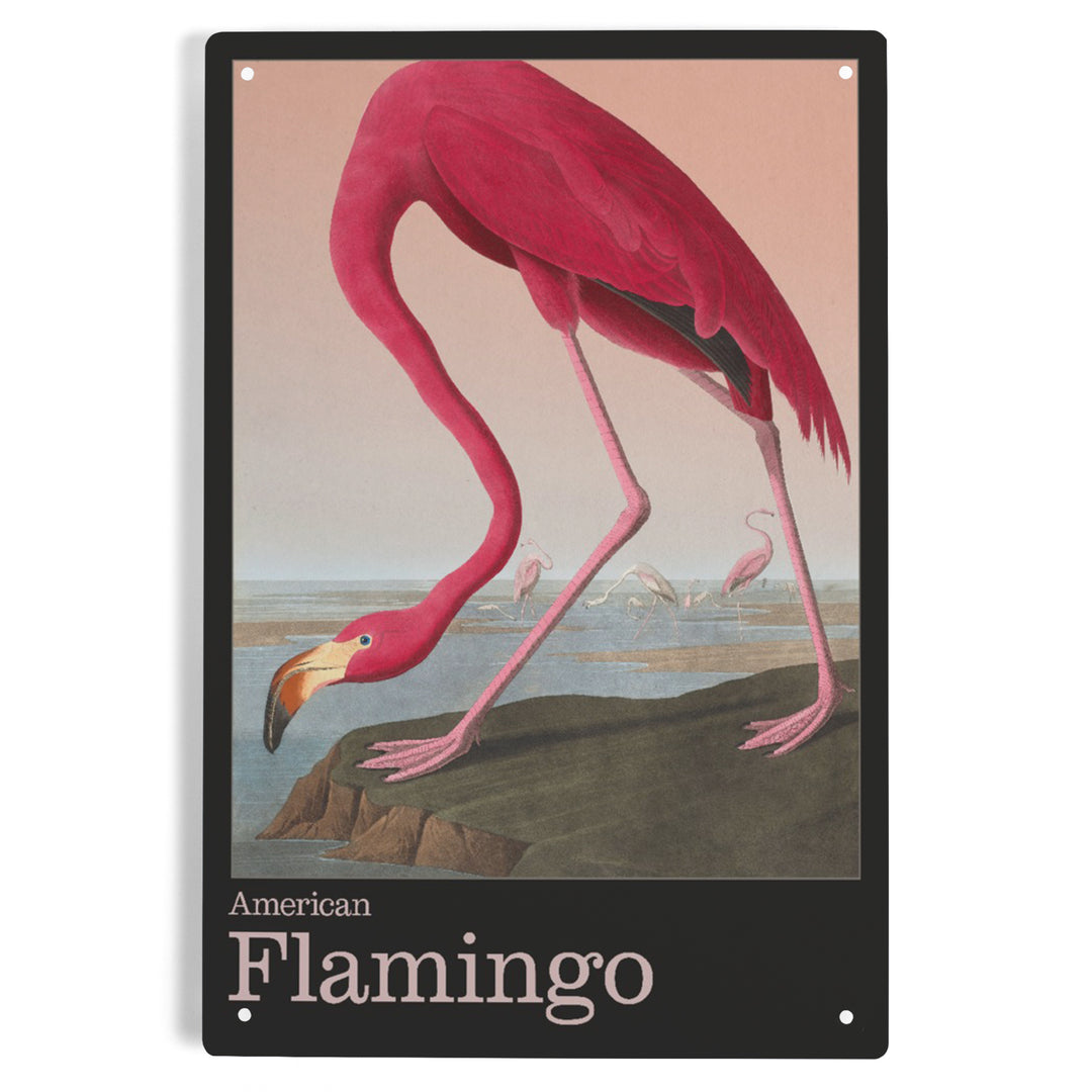 Audubon Birds of North America, Flamingo, 12x18 Metal Sign