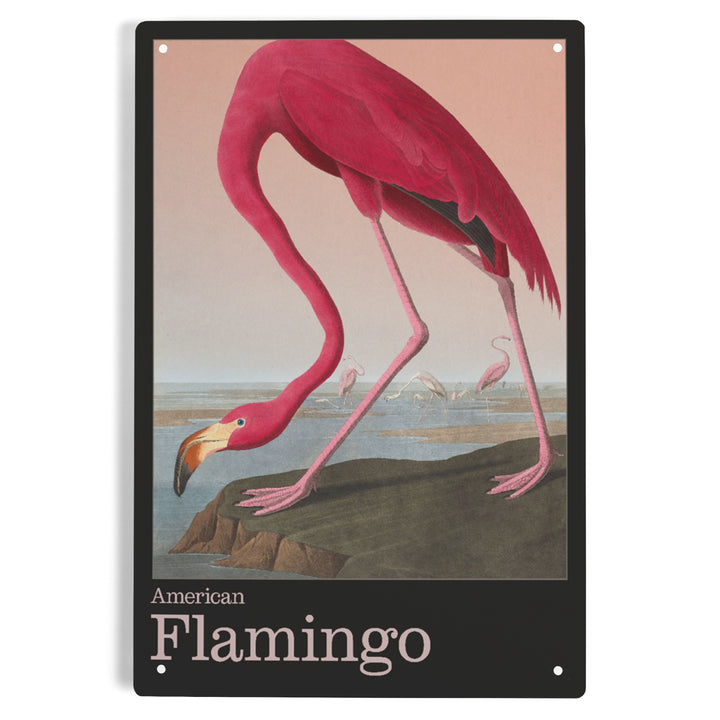 Audubon Birds of North America, Flamingo, 12x18 Metal Sign