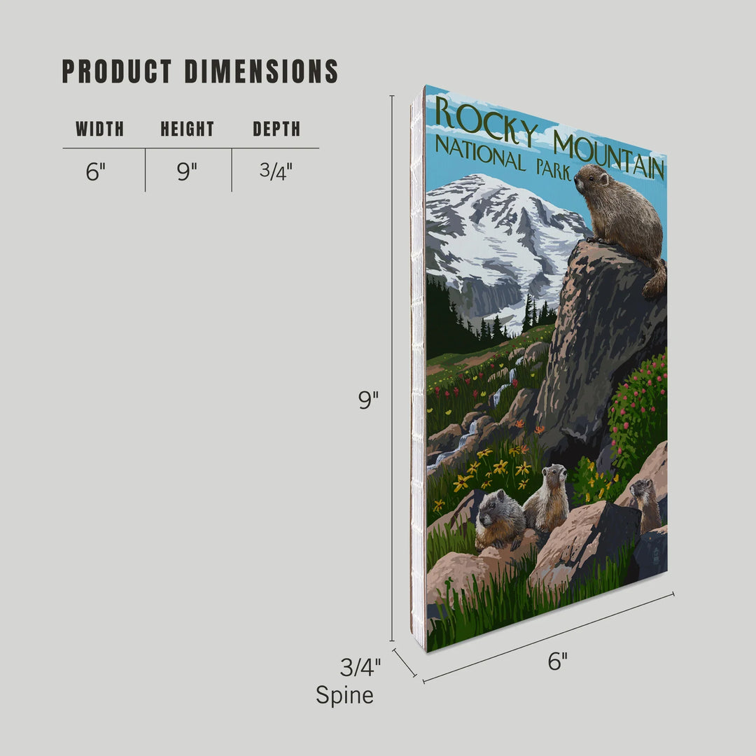 Lined 6x9 Journal, Rocky Mountain National Park, Colorado, Marmots, Lay Flat, 193 Pages, FSC paper