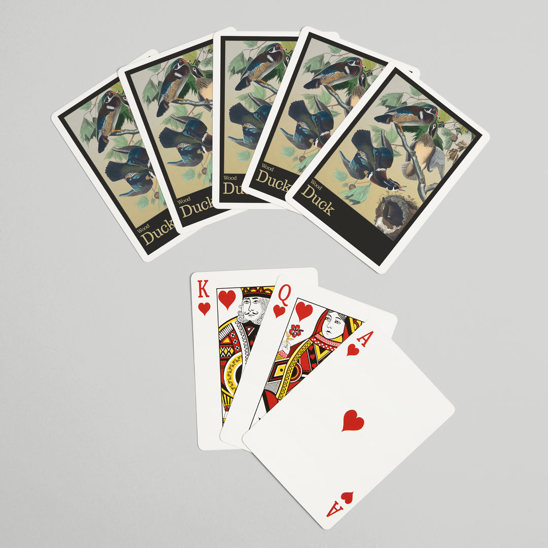 Playing Cards, Audubon Birds of North America, Wood Duck, 52 Card Deck with Jokers in Box, Unique Art