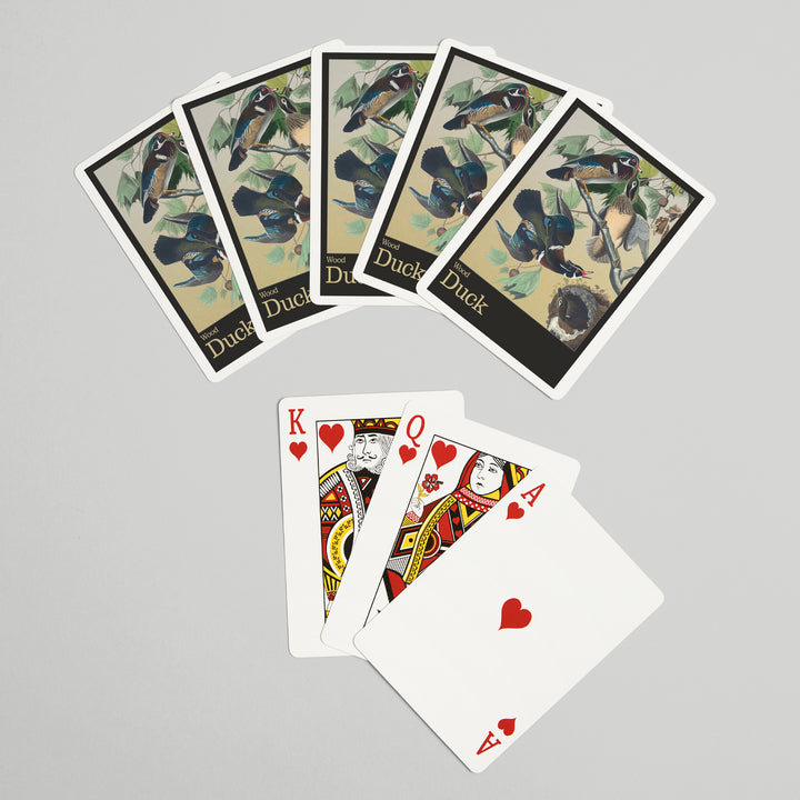 Playing Cards, Audubon Birds of North America, Wood Duck, 52 Card Deck with Jokers in Box, Unique Art