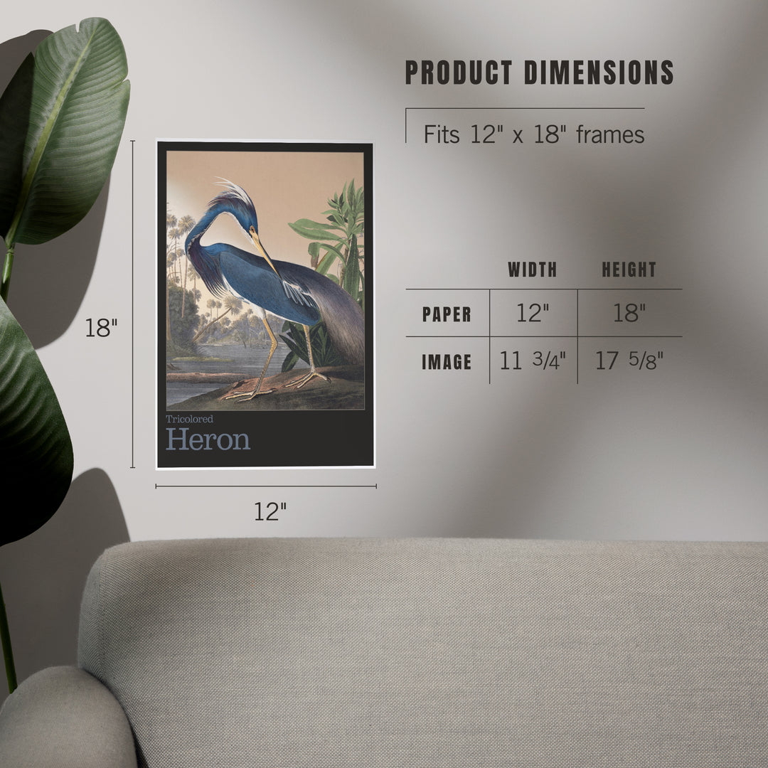 Audubon Birds of North America, Heron, Art & Giclee Prints