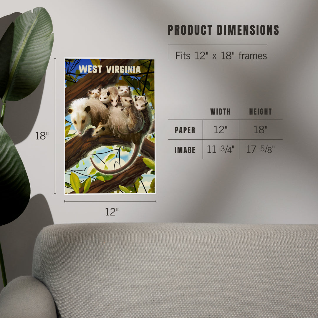 West Virginia, Possum with Babies, Art & Giclee Prints