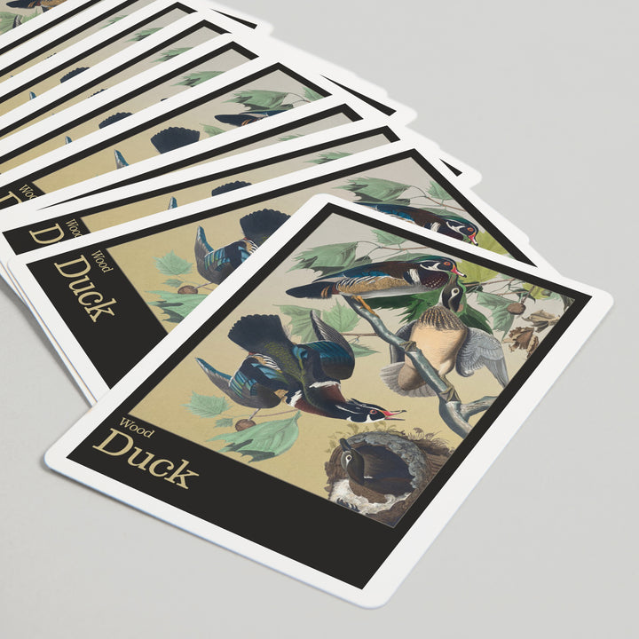 Playing Cards, Audubon Birds of North America, Wood Duck, 52 Card Deck with Jokers in Box, Unique Art