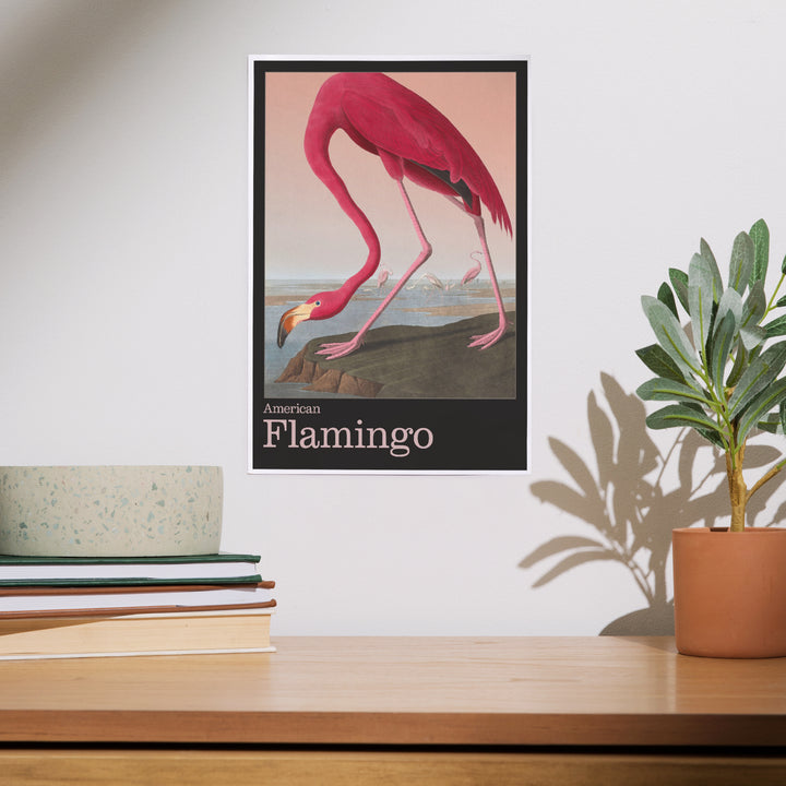 Audubon Birds of North America, Flamingo, Art & Giclee Prints