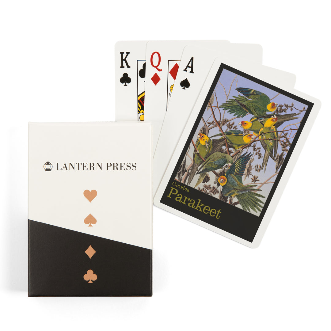 Playing Cards, Audubon Birds of North America, Parakeet, 52 Card Deck with Jokers in Box, Unique Art