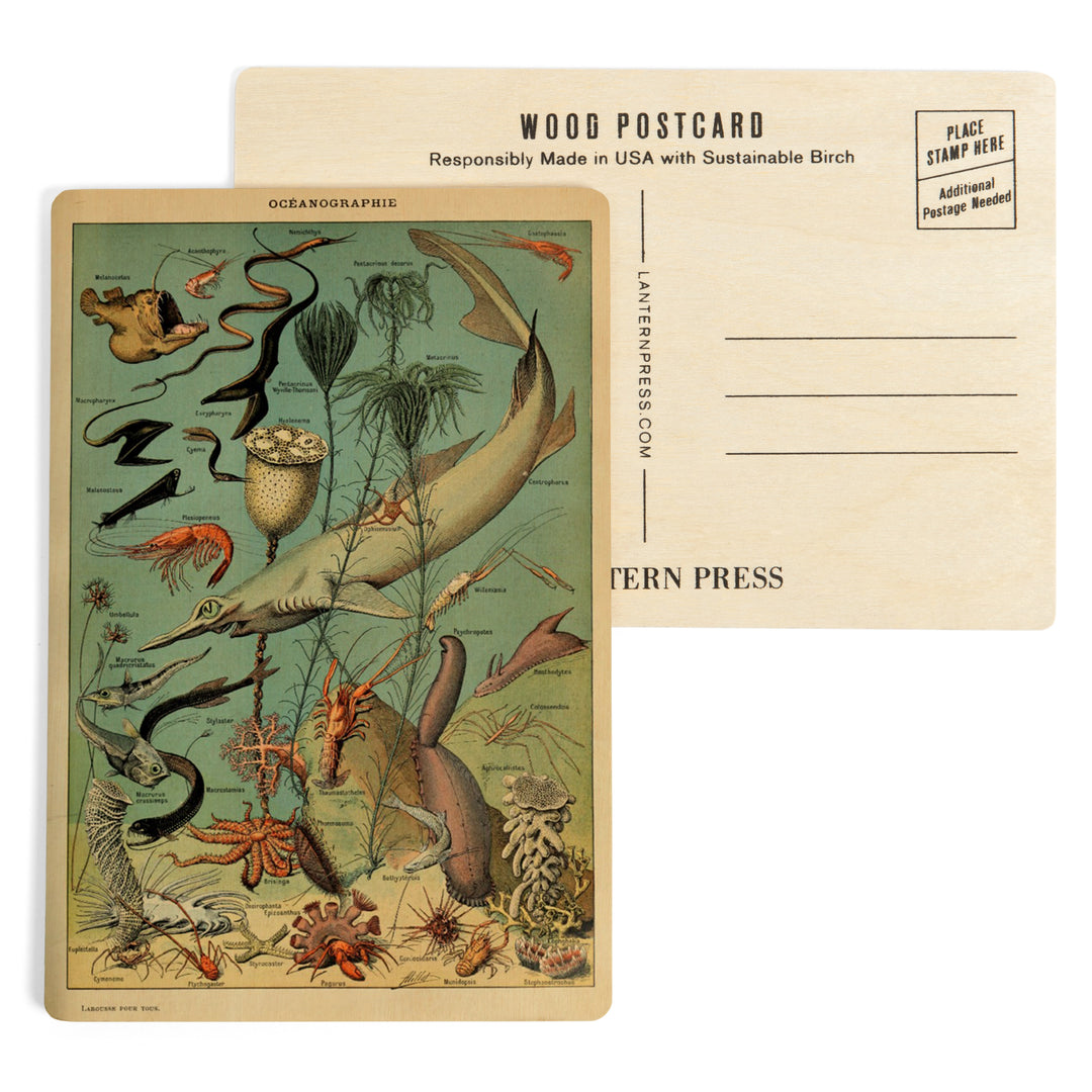 Marine Life, D, Vintage Bookplate, Adolphe Millot, Wood Sign and Postcards