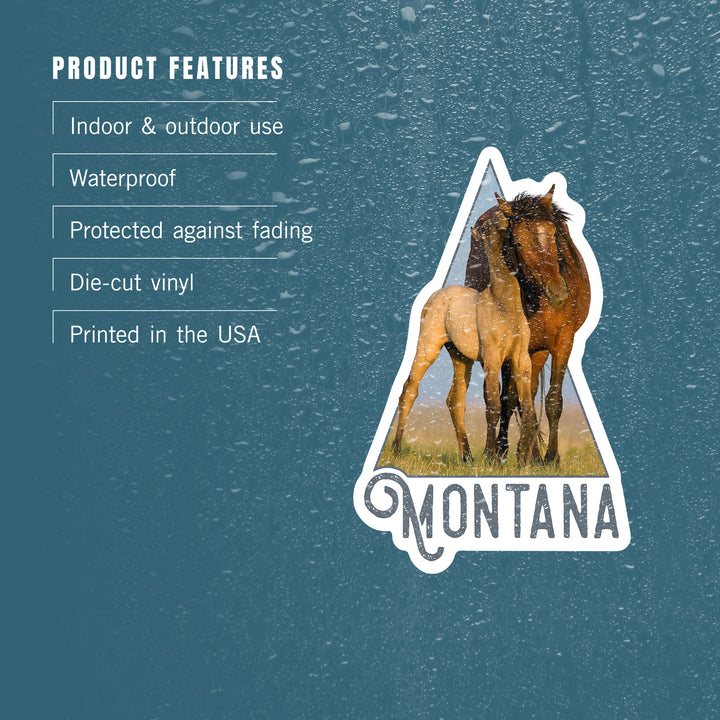Montana, Wild Horse and Young, Contour, Lantern Press Photography (James T. Jones), Vinyl Sticker