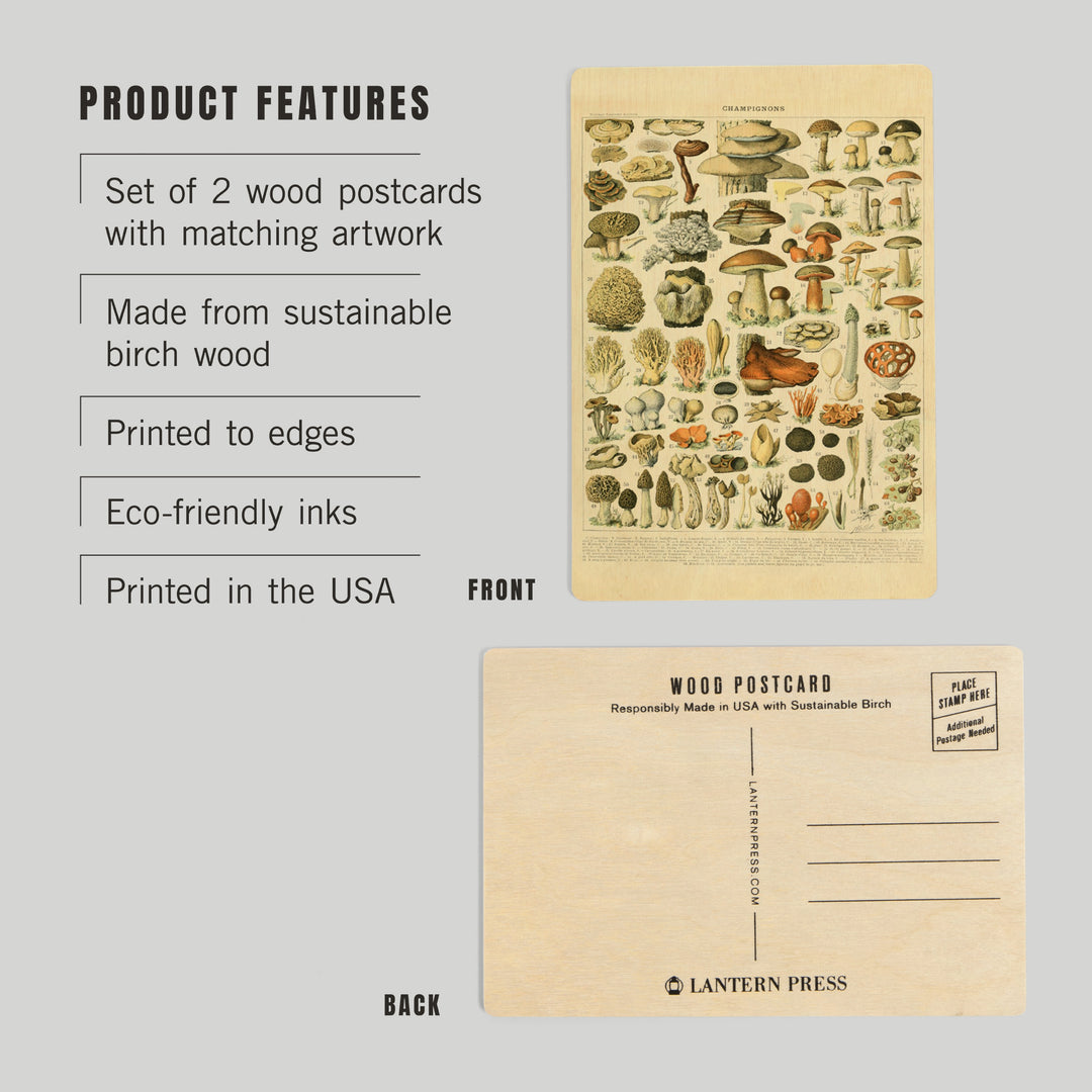 Mushrooms, A, Vintage Bookplate, Adolphe Millot, Wood Sign and Postcards