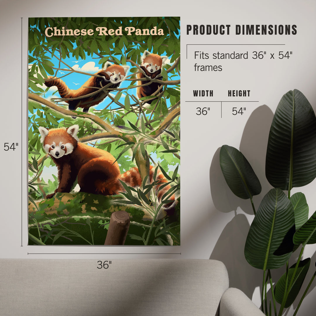 Lithograph Wildlife, Chinese Red Panda, Art & Giclee Prints