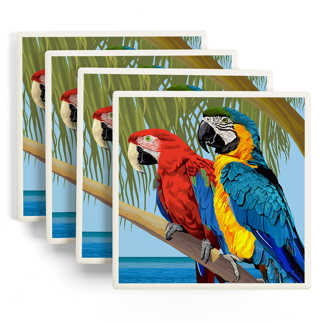 Parrots, Coasters